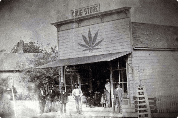 Arizona cannabis history
